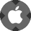 Apple xStock
