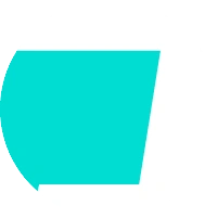 炖粉条 (DFT)