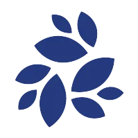 New Kind of Network (NKN)
