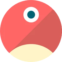 pNetwork