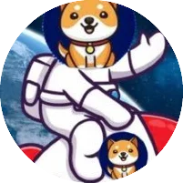 Starship Doge