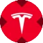 Tesla xStock