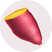 YAM v1