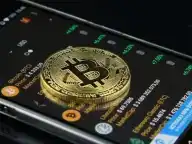 库里为何花116万买一个NFT头像？回顾NFT头像的“发迹史”或许能找到答案