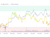 WEEX Labs：Meme 板块率先领涨，本轮市场反弹有何看点？