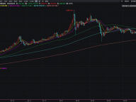 来 WEEX 交易黄金，领 10% 加息券 + 200 USDT 体验金