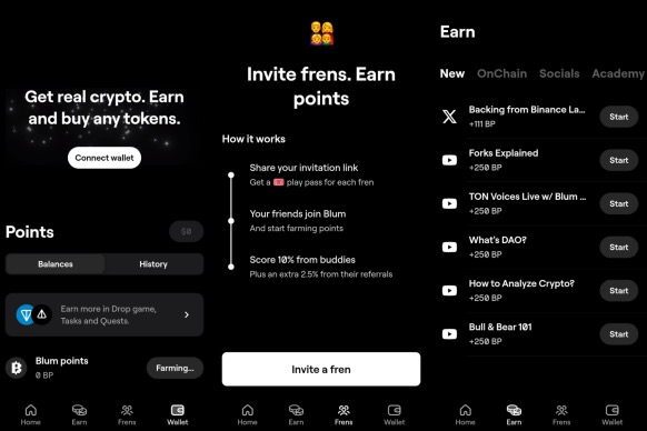 HMSTR上线币安,盘点TON生态即将发币空投的八大项目