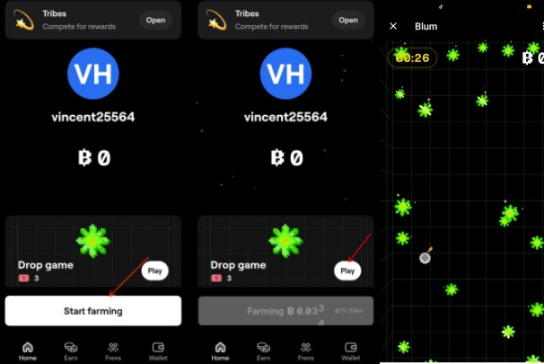 HMSTR上线币安,盘点TON生态即将发币空投的八大项目
