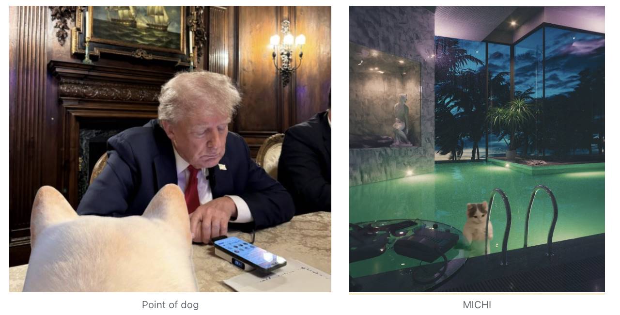 Meme热潮持续:魔性狗子 可爱小猫,半天之内再现千倍涨幅?