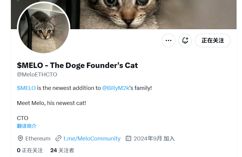 Meme热潮持续:魔性狗子 可爱小猫,半天之内再现千倍涨幅?