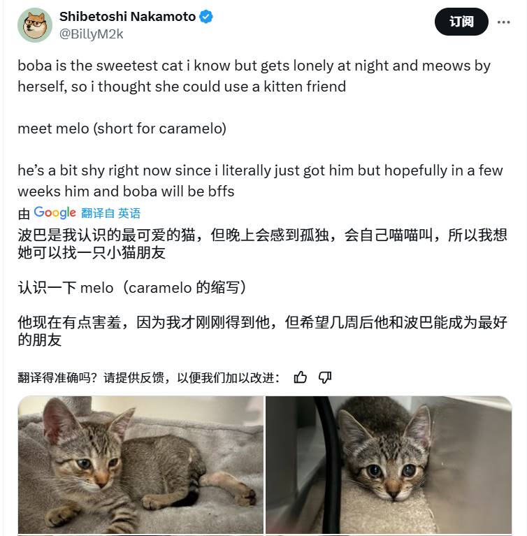 Meme热潮持续:魔性狗子 可爱小猫,半天之内再现千倍涨幅?
