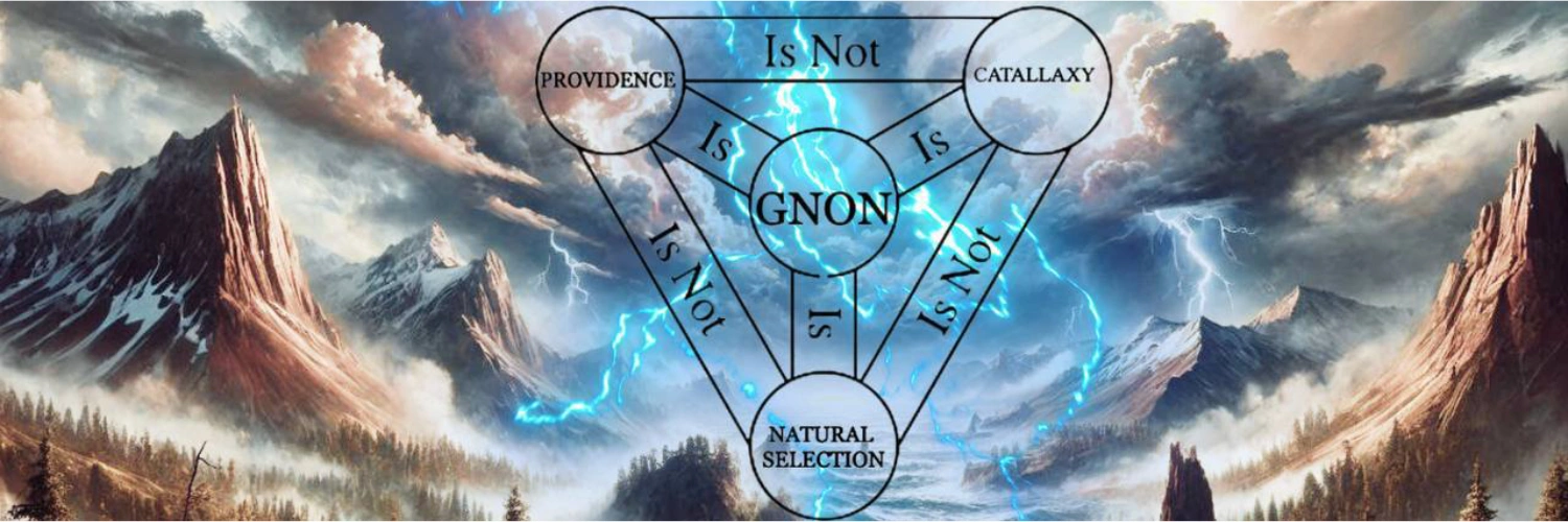 错过开盘仍有机会,盘点近期各链高热度Meme项目