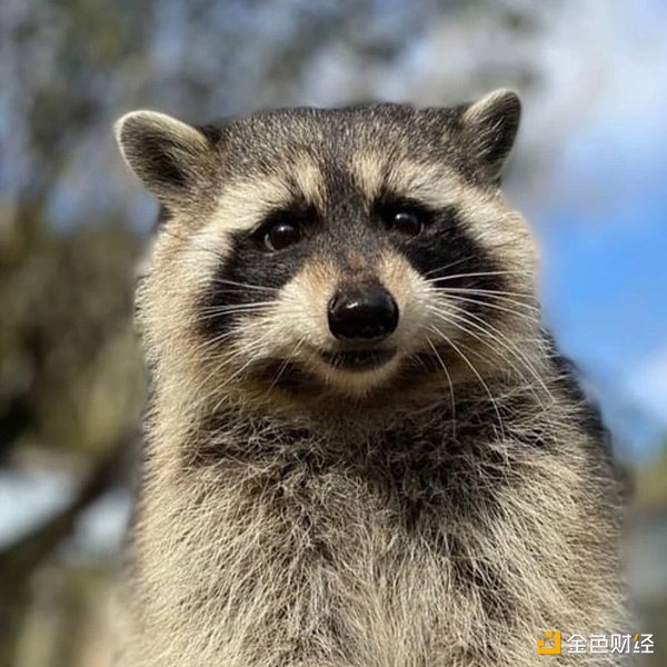 7318142 H1EuzcDy5lAyds9Rx8INbFYURIt8rVZDKifqKTYI.png