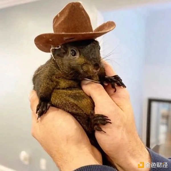 7318140 vTicT8LCOAdWiwKr35qyBEqu006Rqld3QN9pBbEu.png