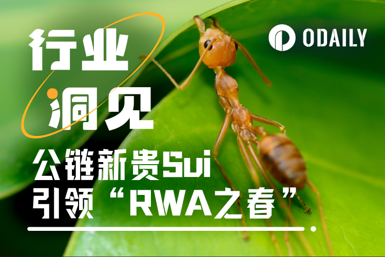 L1搏杀进行时,公链新贵Sui引领“RWA之春”