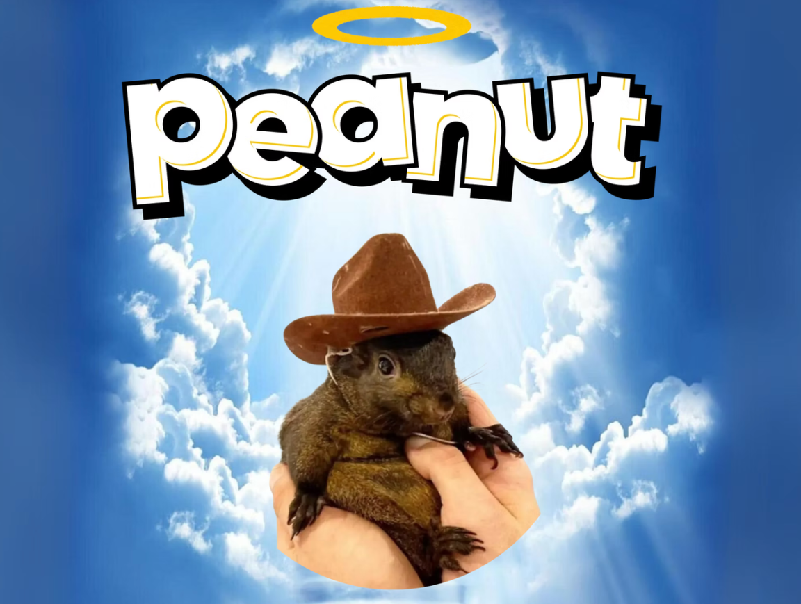 新叙事的吹哨人,2024 Memecoin超级周期回顾