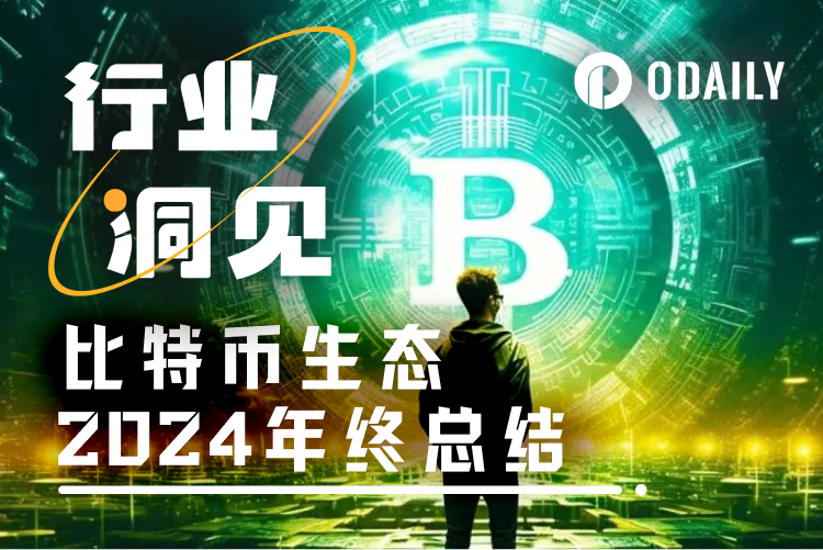 2024,我对比特币生态感到“遗憾”