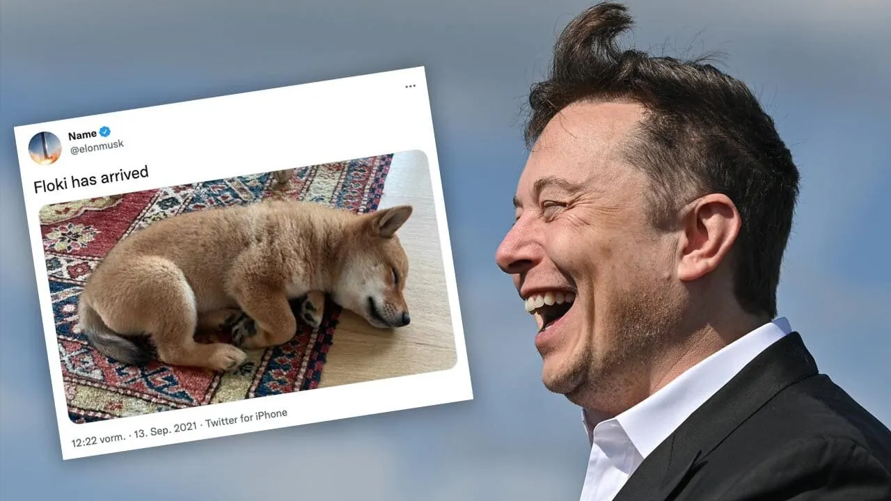 从玩笑到主流:2025年迷因币的发展与交易指南