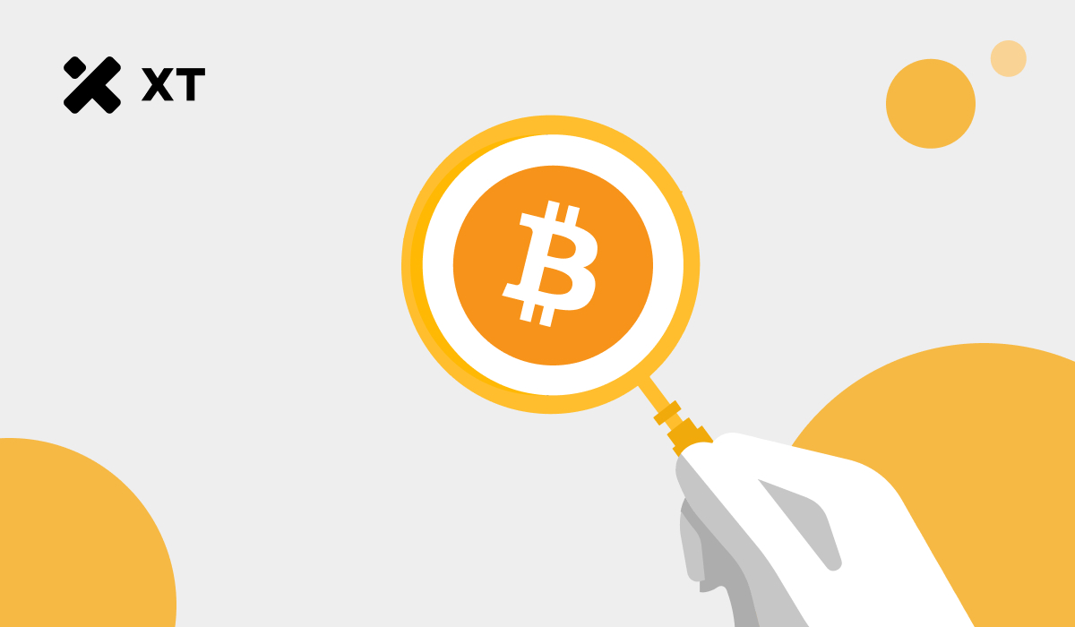 超越K线图:链上数据与宏观趋势如何驱动比特币增长