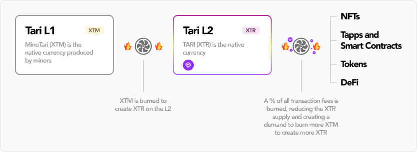 how-tari-token-xtr-works.webp