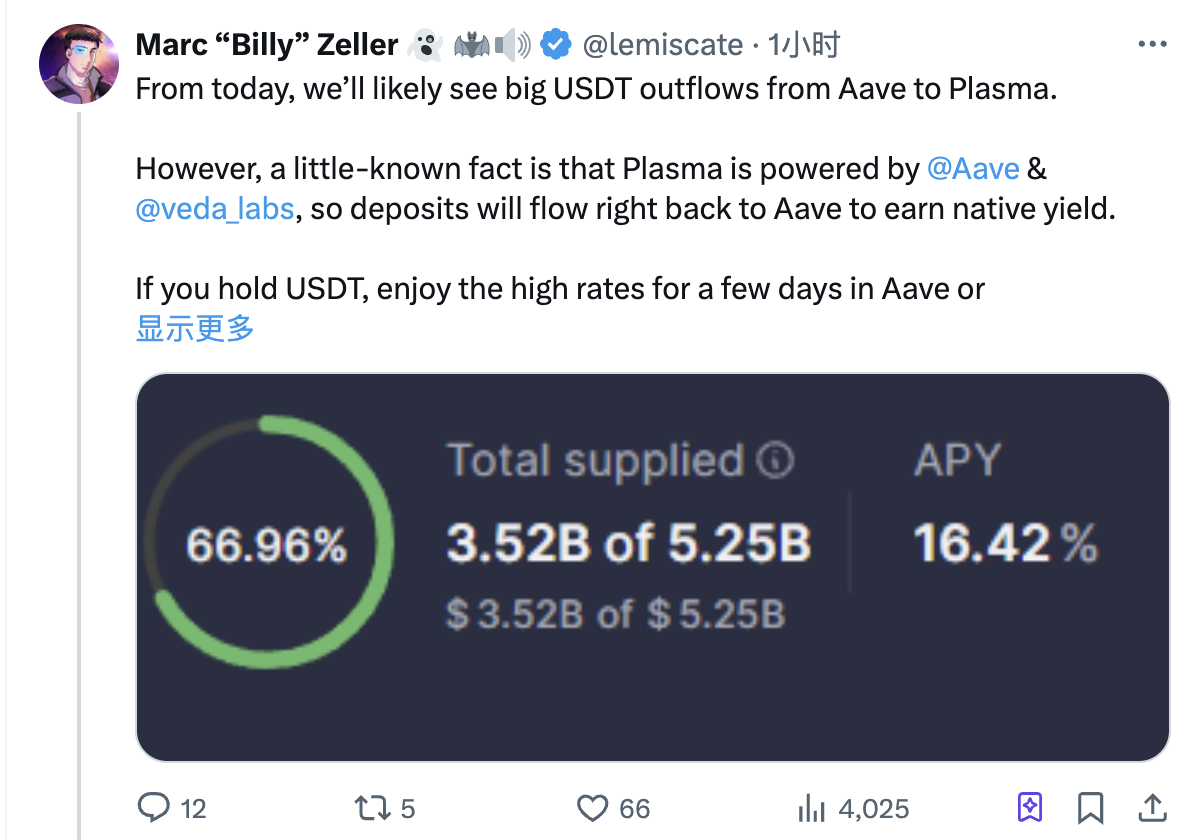稳定币公链Plasma公募今晚开门，5亿美元估值还要参与吗？