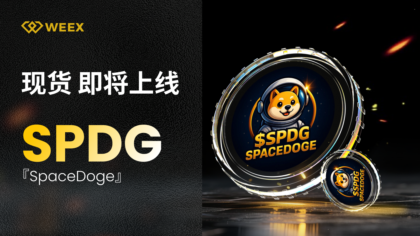 Project Preview-2.png